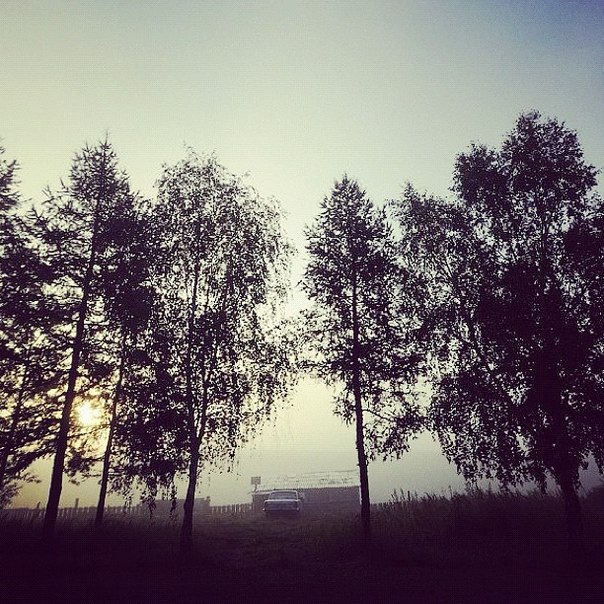 Mikhail Dremin Silent hill follow summer fog